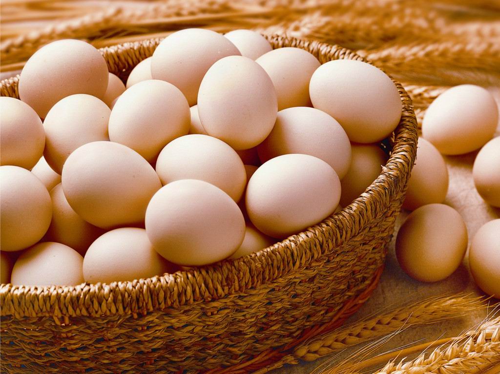 关于鸡蛋的一些常识