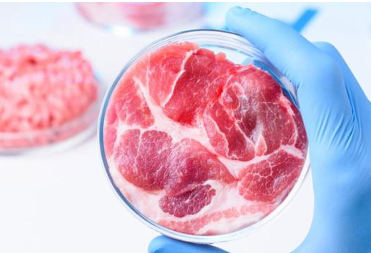 太空人造肉培育成功 只需要几个细胞就能吃上牛排 科学家：可拯救地球