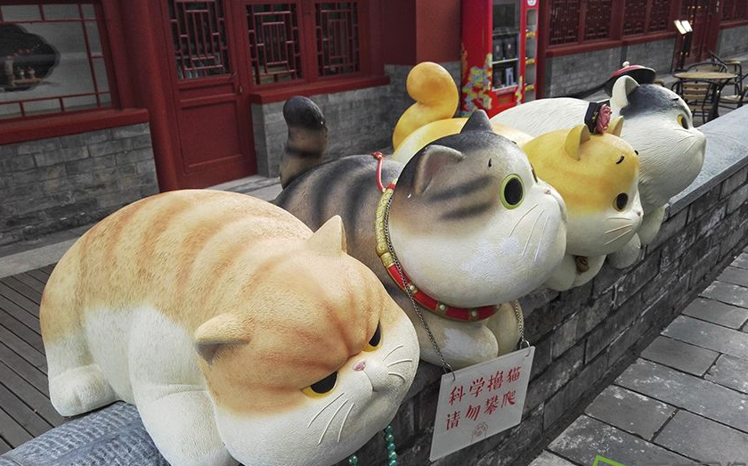 故宫巨型御猫吸引游客打卡 中国宠物行业发展现状分析