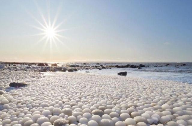 科学家发现新型艾滋病毒株；芬兰海滩现万颗“冰蛋” 当地居民称从未遇见过